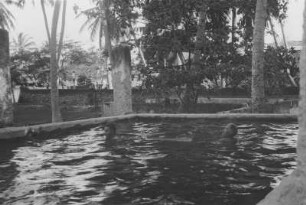 "Nilpferd-Bad" : Expeditionsmitglieder baden in einem Bassin