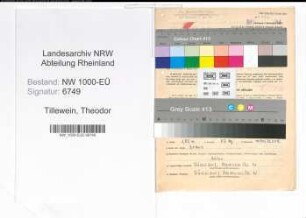 Entnazifizierung Theodor Tillewein, geb. 30.05.1900 (Schlosser)