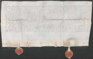 Instrumentum cautionis des Johann Philipp Wambolt von Umstadt.
