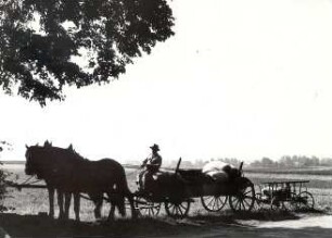 Pferdegespann in Räckelwitz : Transport und Kommunikation - Gespann. Ort: Worklecy / Räckelwitz. Bauer mit einem Gespann an der "Leopoldschenke"