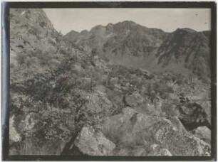 Queñuales in "cuevas calientes"