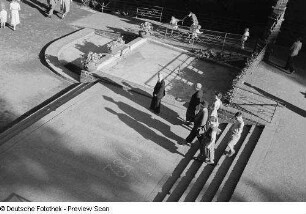 Schatten von Zoobesuchern auf einer Treppe