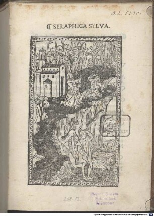Seraphica silva : mit Gedicht an den Leser von Vicentius Marocta