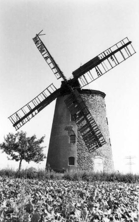 Niederndodeleben-Schnarsleben. Turmholländer, erbaut 1808-1810