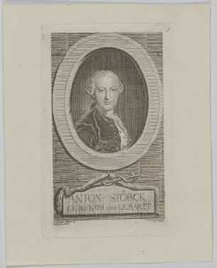 Bildnis des Anton Störck