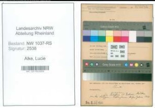 Entnazifizierung Lucie Alke , geb. 13.09.1900 (Lehrerin)
