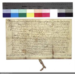 Verleihung einer Wiese in Haimbach an Balthasar Schlatt und Johann Quinckler durch Reinhard Ludwig von Dalwig, Spitalherr des Klosters Fulda