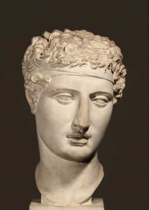 Kopfreplik der Amazone Typus Mattei