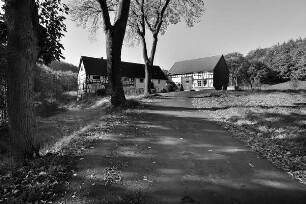 Ehem. Waldmühle (Mühle); Grebenhain, Waldmühle 1