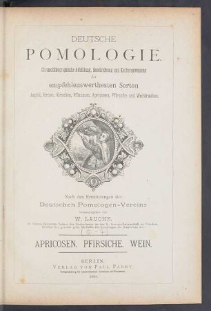 5/7: Apricosen, Pfirsiche, Wein
