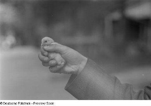 Von einer Hand gehaltenes Küken