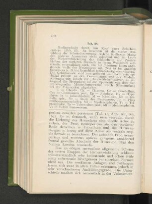 Tab. 38.