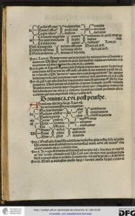 Dominica xvi post penthecostes.