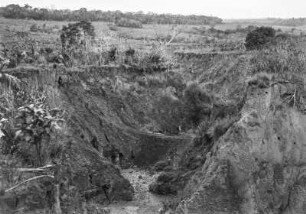 Erdrutsch : Eine Erosionsschlucht in einer Landschaft bei Tatuí.