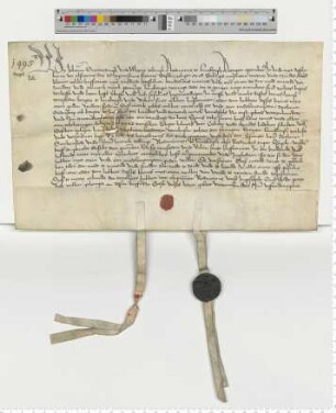 Die Ratsmannen Joh. Snewerdingk und Meyne Tobingk bezeugen einen "averbref der Blomesche" (Hausrente "achter den scrangen").