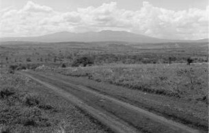 Landschaft : Straße auf einer Hochfläche