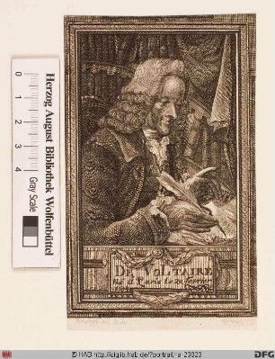 Bildnis Voltaire (eig. François-Marie Arouet)