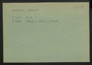Walleser, Wilhelm