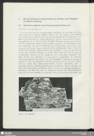 4. Die petrographischen Eigenschaften der Kohlen und Carbargilite des Döhlener Beckens