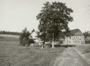Fundgrube Gesellschaft, Forststr. Schneeberg