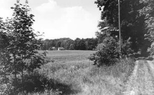 Löbau-Bellwitz. Blick auf die "Gemauerte Mühle" vom Weg zur Mühle