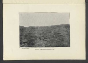Plate LXIV.