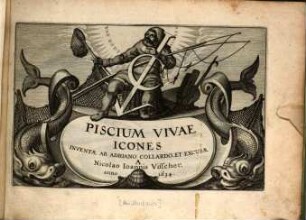 Piscium vivae icones