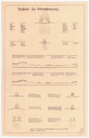 Landschaftsplan, Luckau: Schutzpflanzungen, verschiedene Querschnitte