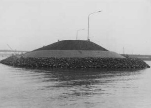 Molenkopf im Altrhein/Rhein