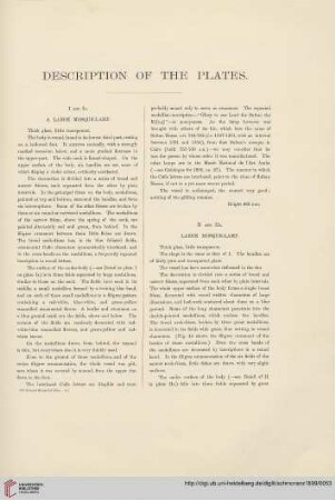 Description of the plates