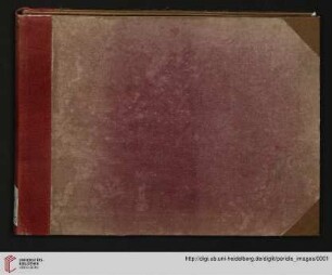 15 nineteenth century photographic images