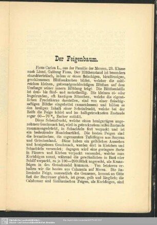 Der Feigenbaum