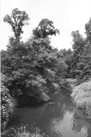 Schöpstal-Kunnersdorf. Schöpspartie bei der Schloßbrücke, unweit der ehemaligen Obermühle