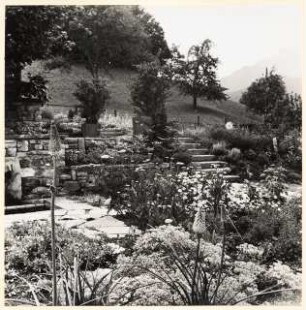 Garten Suidter, Luzern: Sommergarten