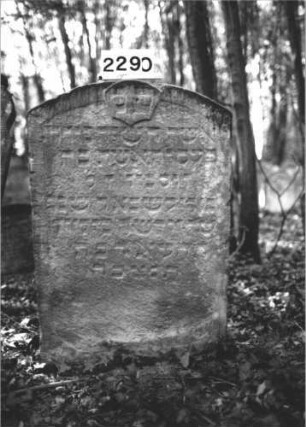 Grabstein 2290