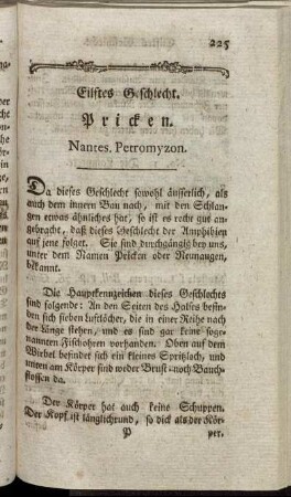 Eilftes Geschlecht. Pricken.
