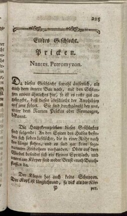 Eilftes Geschlecht. Pricken.