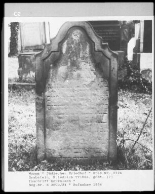 Grabstein von Friedrich Tribus