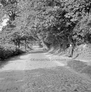 Möllner Landstraße mit Kopfsteinpflaster: rechts auf Gehweg Frau mit Tasche: hinten Mitte parkender Pkw: dahinter Wald