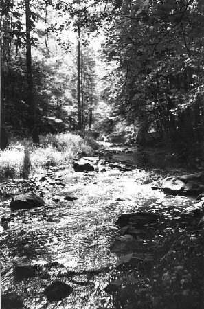 Löbau-Bellwitz. Löbauer Wasser im Skalatal