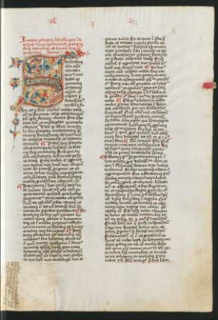 De peregrinatione pauperis fratris minoris