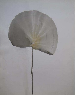 unbenannt [Blatt]