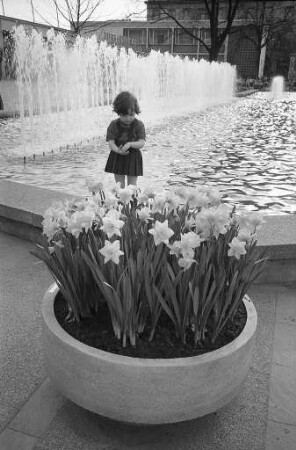 Wasserspiele am Südeingang zum Stadtgarten.