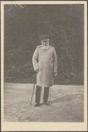 Großherzog Friedrich I. in Uniform vor Buschwerk, Ganzfigur.