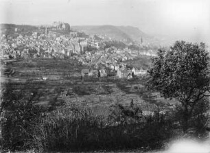 Marburg/Lahn, Gesamtbild von Stadt mit Schloss aus der Ferne