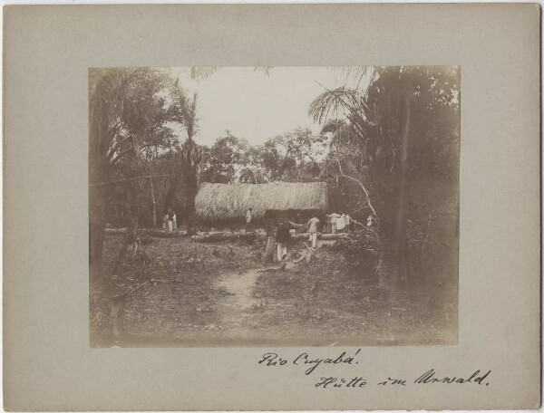 Hut in the jungle on the Rio Cuyabá