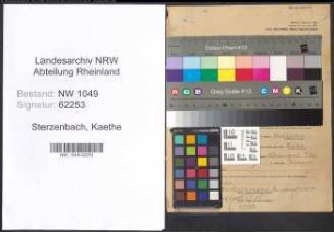 Entnazifizierung Kaethe Sterzenbach , geb. 03.03.1900 ()