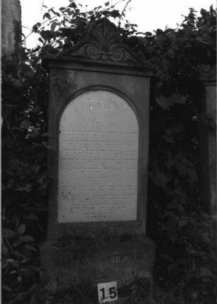Grabstein 15 (Index: 99891842) Material: Sandstein, Inschrifttafel weißer Marmor Zustand: sehr gut Maße HxBxT: 142x58x16 cm Beschreibung: rechteckige Stele mit Mittelakroter Symbolik: Palmette als Mittelakroter: Grabstein 15