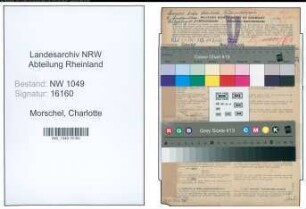 Entnazifizierung Charlotte Morschel , geb. 11.11.1894 (Lehrer)