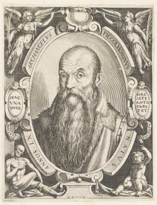 Bildnis des Archagelvs Piccolhominvs